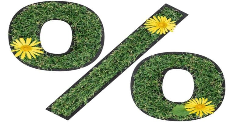 איך לבחור יעד נופש בישראל שמשלב איכות וחיסכון – כך חוסכים באמת